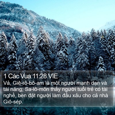 1 Các Vua 11:28 VIE Bible Verse Image
