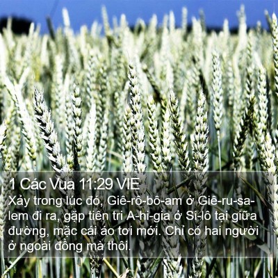 1 Các Vua 11:29 VIE Bible Verse Image