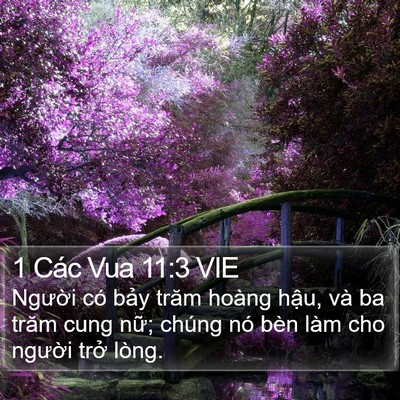 1 Các Vua 11:3 VIE Bible Verse Image
