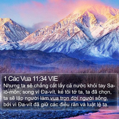 1 Các Vua 11:34 VIE Bible Verse Image