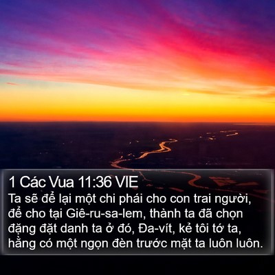 1 Các Vua 11:36 VIE Bible Verse Image