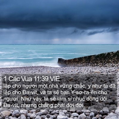 1 Các Vua 11:39 VIE Bible Verse Image