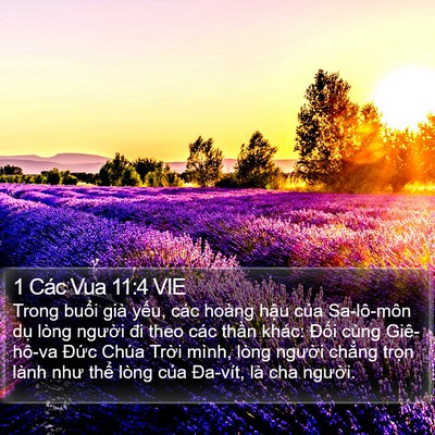 1 Các Vua 11:4 VIE Bible Verse Image