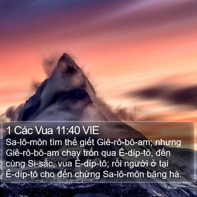 1 Các Vua 11:40 VIE Bible Verse Image
