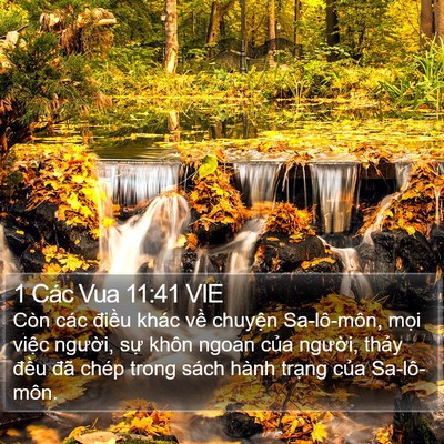 1 Các Vua 11:41 VIE Bible Verse Image
