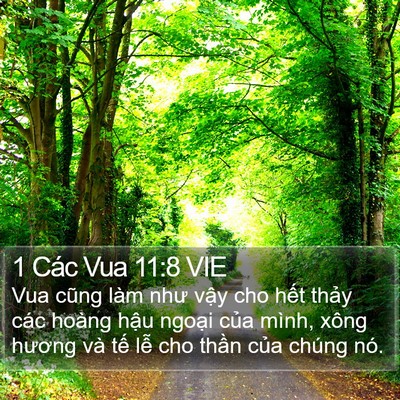 1 Các Vua 11:8 VIE Bible Verse Image