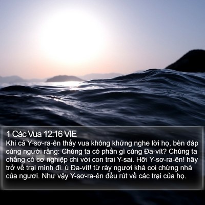 1 Các Vua 12:16 VIE Bible Verse Image