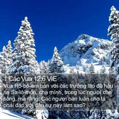 1 Các Vua 12:6 VIE Bible Verse Image