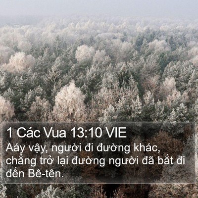 1 Các Vua 13:10 VIE Bible Verse Image