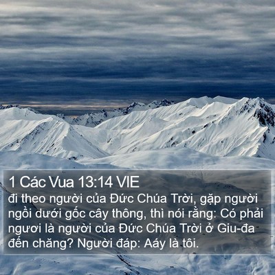 1 Các Vua 13:14 VIE Bible Verse Image