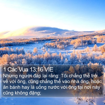 1 Các Vua 13:16 VIE Bible Verse Image