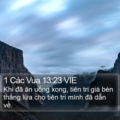 1 Các Vua 13:23 VIE Bible Verse Image