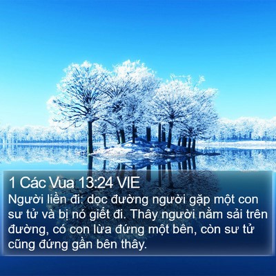 1 Các Vua 13:24 VIE Bible Verse Image