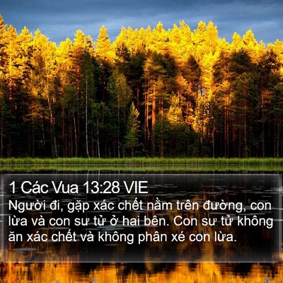 1 Các Vua 13:28 VIE Bible Verse Image
