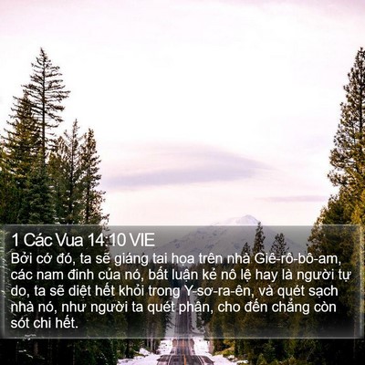 1 Các Vua 14:10 VIE Bible Verse Image