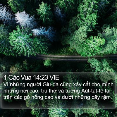 1 Các Vua 14:23 VIE Bible Verse Image