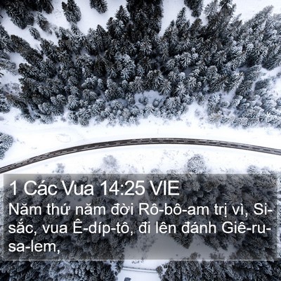 1 Các Vua 14:25 VIE Bible Verse Image