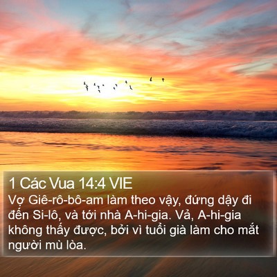 1 Các Vua 14:4 VIE Bible Verse Image