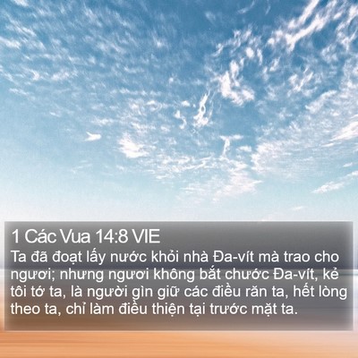 1 Các Vua 14:8 VIE Bible Verse Image