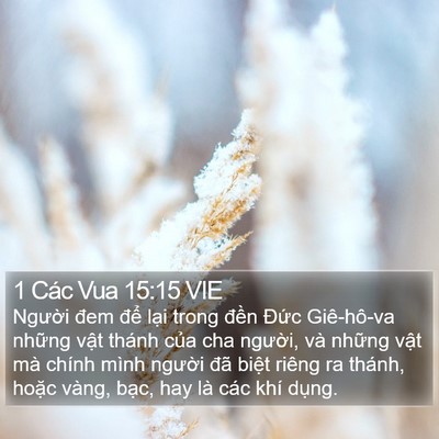1 Các Vua 15:15 VIE Bible Verse Image