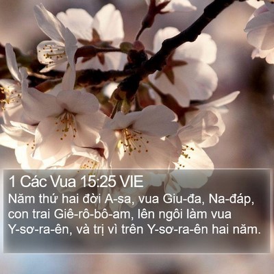 1 Các Vua 15:25 VIE Bible Verse Image