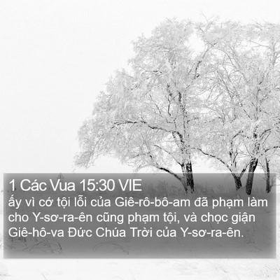 1 Các Vua 15:30 VIE Bible Verse Image