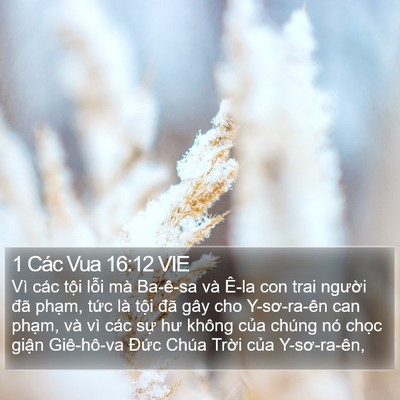 1 Các Vua 16:12 VIE Bible Verse Image