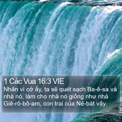 1 Các Vua 16:3 VIE Bible Verse Image