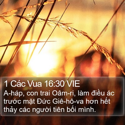 1 Các Vua 16:30 VIE Bible Verse Image