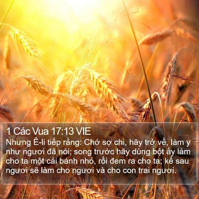 1 Các Vua 17:13 VIE Bible Verse Image