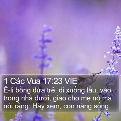 1 Các Vua 17:23 VIE Bible Verse Image