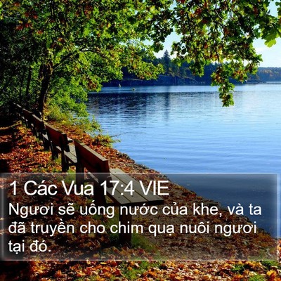 1 Các Vua 17:4 VIE Bible Verse Image
