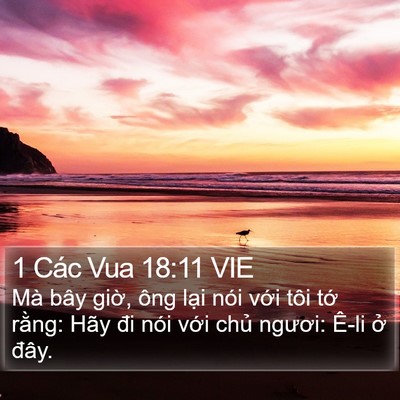 1 Các Vua 18:11 VIE Bible Verse Image