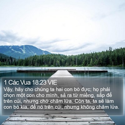 1 Các Vua 18:23 VIE Bible Verse Image