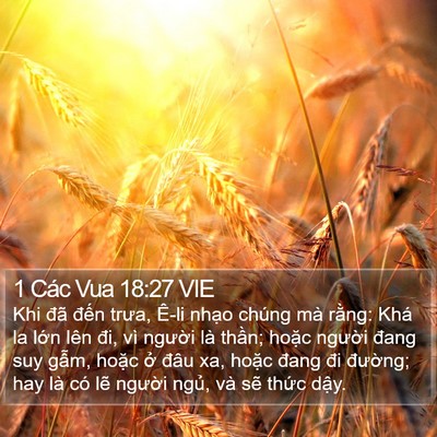 1 Các Vua 18:27 VIE Bible Verse Image