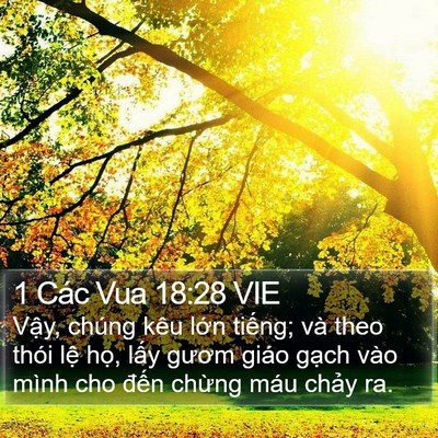 1 Các Vua 18:28 VIE Bible Verse Image
