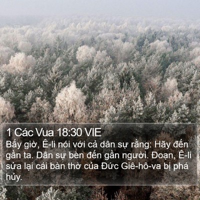 1 Các Vua 18:30 VIE Bible Verse Image