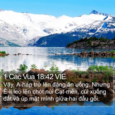 1 Các Vua 18:42 VIE Bible Verse Image