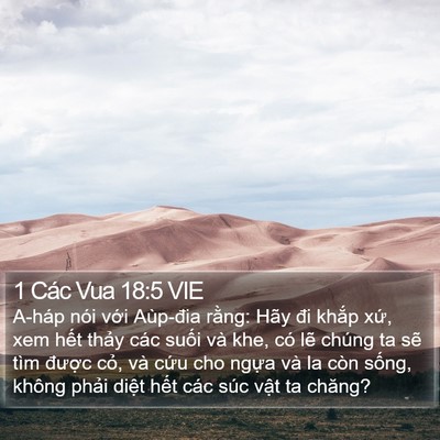 1 Các Vua 18:5 VIE Bible Verse Image