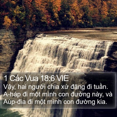 1 Các Vua 18:6 VIE Bible Verse Image