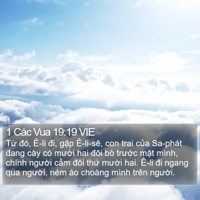 1 Các Vua 19:19 VIE Bible Verse Image