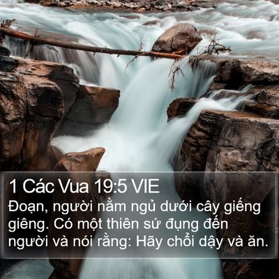1 Các Vua 19:5 VIE Bible Verse Image