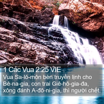 1 Các Vua 2:25 VIE Bible Verse Image