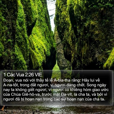 1 Các Vua 2:26 VIE Bible Verse Image