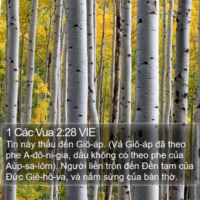 1 Các Vua 2:28 VIE Bible Verse Image