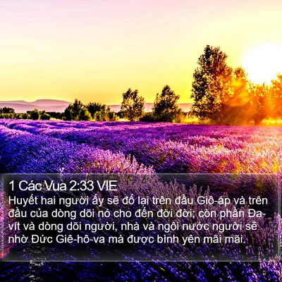1 Các Vua 2:33 VIE Bible Verse Image