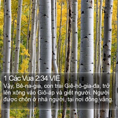 1 Các Vua 2:34 VIE Bible Verse Image