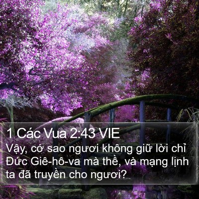 1 Các Vua 2:43 VIE Bible Verse Image