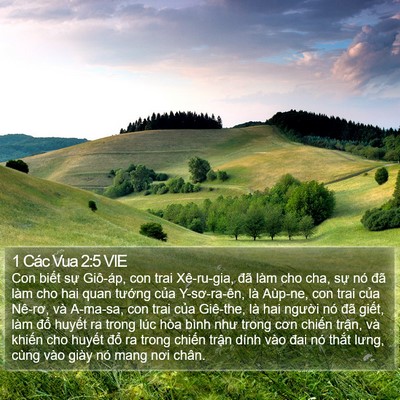 1 Các Vua 2:5 VIE Bible Verse Image