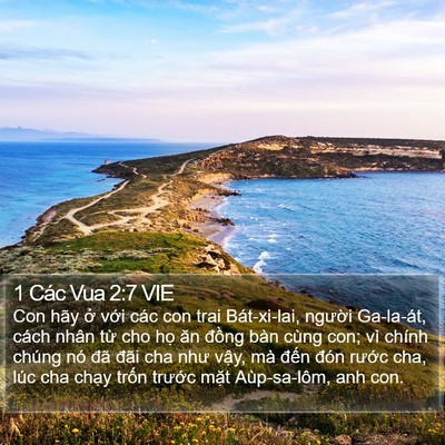 1 Các Vua 2:7 VIE Bible Verse Image